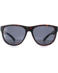 Polaroid - Round Matte Havana Polarized Pld 2156/S - Lyst