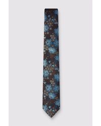 Antique Rogue - Floral Tie - Lyst
