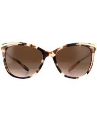 Ralph Lauren - By Cat Eye Tortoise Dark Gradient Sunglasses - Lyst