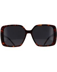 BOSS - Square Dark Havana 1939/G/S - Lyst