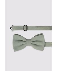 Antique Rogue - Bow Tie - Lyst