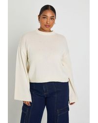 Boohoo - Plus Crew Neck Knit Jumper - Lyst