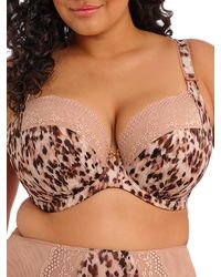 Elomi - Lucie Plunge Bra - Lyst