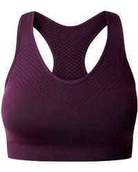 Dare 2b - Ladies Dont Sweat It Ii Sports Bra (Deep Plum) - Lyst