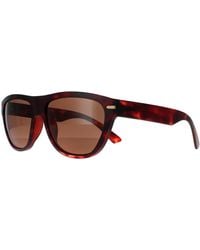 Serengeti - Cat Eye Matte Tortoise Mineral Drivers Polarized Pancho - Lyst