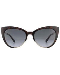 Moschino - Sunglasses Mos040/S 086 9O Dark Havana Gradient - Lyst