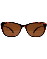 Montana - Cat Eye Tortoise Polarized Mp42 - Lyst