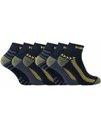 Sock Snob - 6 Pairs Cotton Anti Sweat Low Cut Work Socks For Steel Toe Boots - Lyst