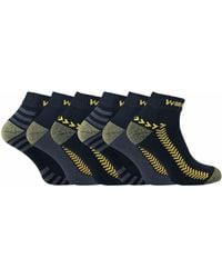 Sock Snob - 6 Paar Herren Baumwolle Anti Schweiß Low Cut Arbeitssocken Für Stahl Toe Stiefel - Lyst