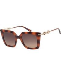 Ferragamo - Sf1041S-238 Sf1041S 51 238 Fashion Sunglasses - Lyst
