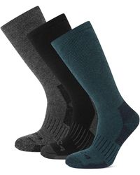 TOG24 - Villach 3 Pack Trek Socks - Lyst