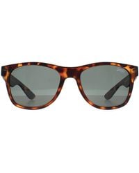 Superdry - Rechthoek Havana Groen Alfie - Lyst