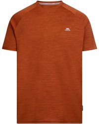 Trespass - Leecana Tp75 T-Shirt (Burnt Marl) - Lyst