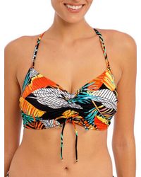 Freya - Samba Nights Bralette Bikini Top - Lyst