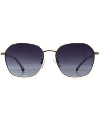 Polaroid - Round Gradient Polarized Pld 4168/G/S/X Metal - Lyst