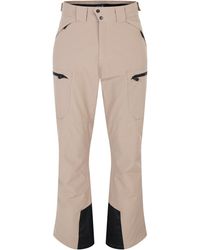 Dare 2b - Baseplate Ii Ski Trousers (Clay) - Lyst