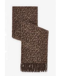 Penti - Leopard Scarf - Lyst