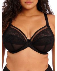 Elomi - Kendra Plunge Bra - Lyst