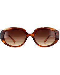 Ted Baker - Oval Horn Gradient Tb1689 Penny - Lyst