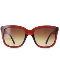 Calvin Klein - Square Transparent Gradient Ck22550S - Lyst