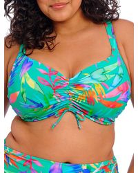 Elomi - Toyama Tides Crop Bikini Top - Lyst