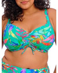 Elomi - Toyama Tides Crop Bikini Top - Lyst