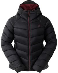 Dare 2b - Ladies Torrek Baffled Padded Jacket - Lyst