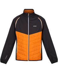 Regatta - Steren Hybrid Soft Shell Jacket Pepper/Ash) - Lyst