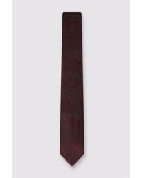 Antique Rogue - Floral Tie - Lyst