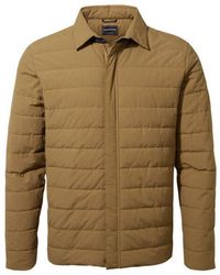 Craghoppers - Monmouth Insulated Padded Jacket (Dark Raffia) - Lyst