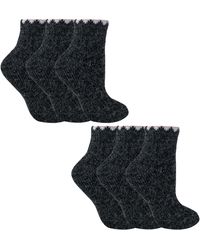 Sock Snob - 6 Pairs Ladies Short Alpaca Wool Moisture Wicking Socks - Lyst