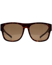Polaroid - Square Matte Havana Bronze Polarized Pld 9010/S Fitover - Lyst