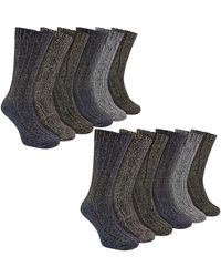 Sock Snob - 12 Pack Ribbed Alpaca Boot Socks - Lyst
