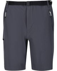 Regatta - Xert Iii Stretch Shorts (Seal) - Lyst