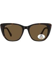 Montana - Cat Eye Shiny Dark Turtle Polarized Mp173 - Lyst