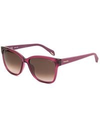 Police - Red Acetate Sunglasses - Lyst