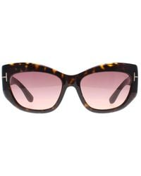 Tom Ford - Cat Eye Dark Havana Bordeaux Gradient Brianna Ft1065 - Lyst