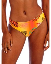 Freya - Miami Sunset Bikini Brief - Lyst