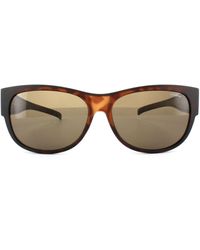 Polaroid - Suncovers Oval Dark Havana Polarized Sunglasses - Lyst