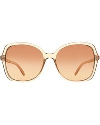 Calvin Klein - Butterfly Crystal Gradient Ck19561S - Lyst