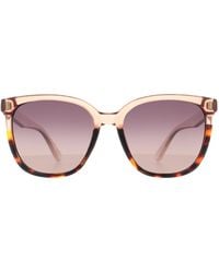 Montana - Butterfly Shiny Clear Turtle Gradient Polarized Mp190 - Lyst