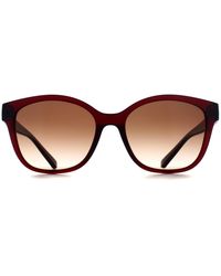 ARMANI EXCHANGE - Cat Eye Shiny Transparent Gradient Ax4127S - Lyst