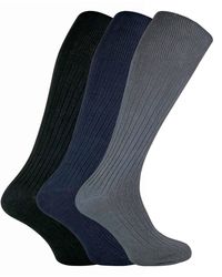 Sock Snob - 3 Pairs Long Knee High Length 100% Cotton Socks - Lyst
