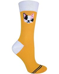 Sock Snob - 1 Pair Novelty Cat Dog Socks With Beagle Pug Scotty Dog - Lyst