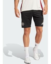 adidas Originals - Manchester United Tiro 24 Training Shorts - Lyst