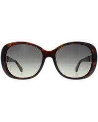 Karen Millen - Butterfly Dark Havana Km5054 - Lyst