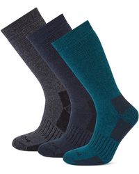 TOG24 - Villach 3 Pack Trek Socks Dark Marl/Lagoon/Dark - Lyst