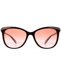 Ralph Lauren - Ralph By Lauren Cat Eye Havana Gradient Ra5203 - Lyst