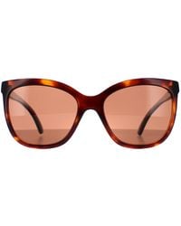 Serengeti - Rectangle Shiny Tortoise Mineral Polarized Drivers Agata - Lyst