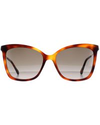 Jimmy Choo - Cat Eye Havana Gradient Maci/S - Lyst